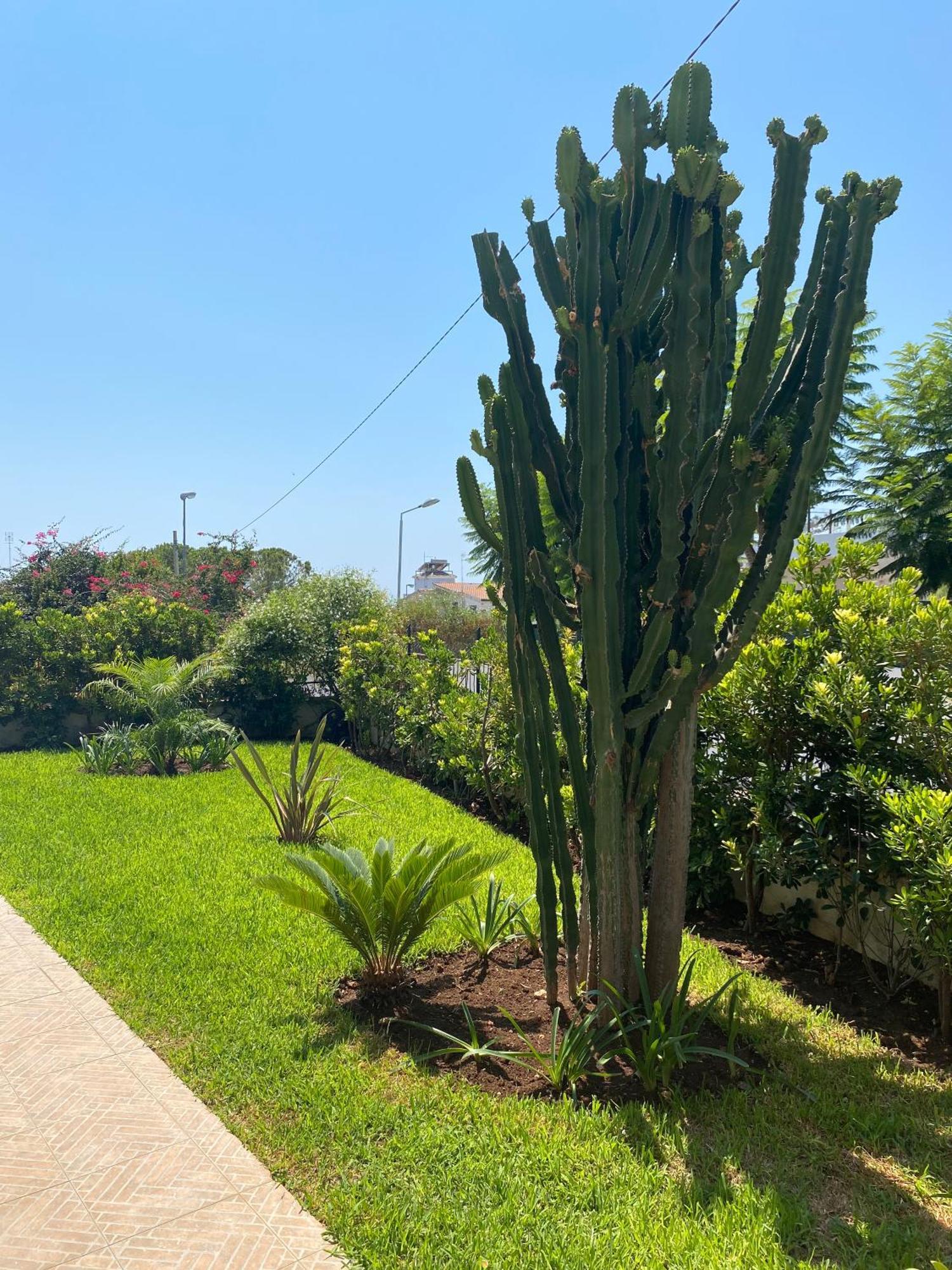 Casa Alba Fontane Bianche Villa Exterior photo